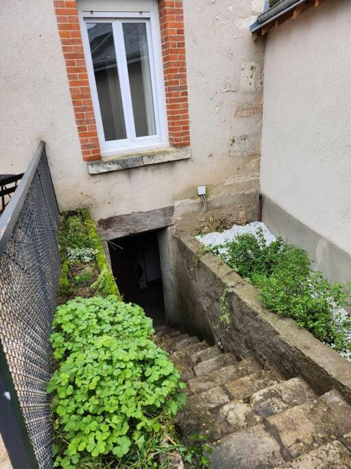 La Maisonnette Des Hautes Granges 블루아 외부 사진
